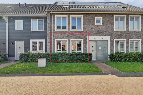undefined main image