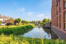 Afbeelding van Grondel 3 - Tweede foto