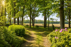 Afbeelding van Vinklaan - Derde foto