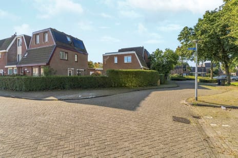 Afbeelding van Kolkgriend 36 - Derde foto