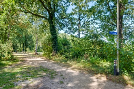 Dennenlaan 12 tertiary image