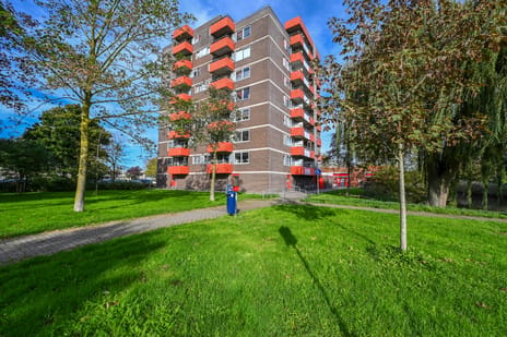 Zilverschoon 72 main image