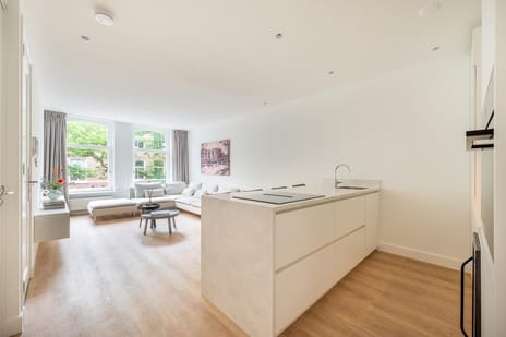 Appartement te huur: Frans Halsstraat 36-2, Frans Halsbuurt Amsterdam