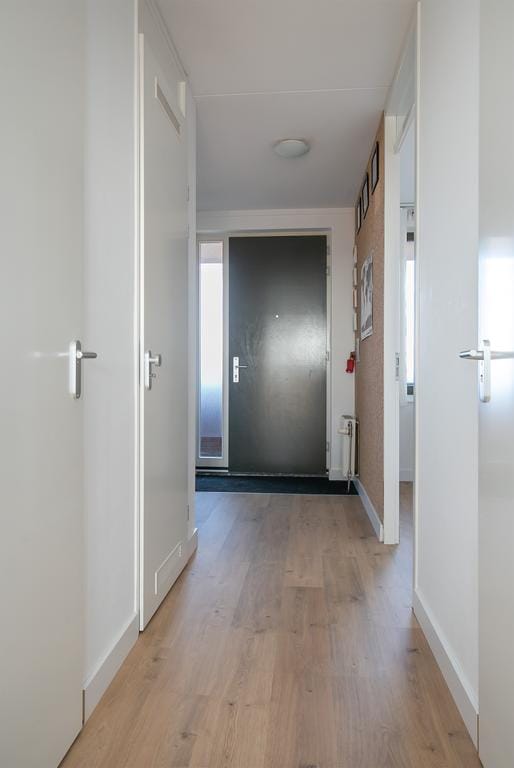 House Image 5