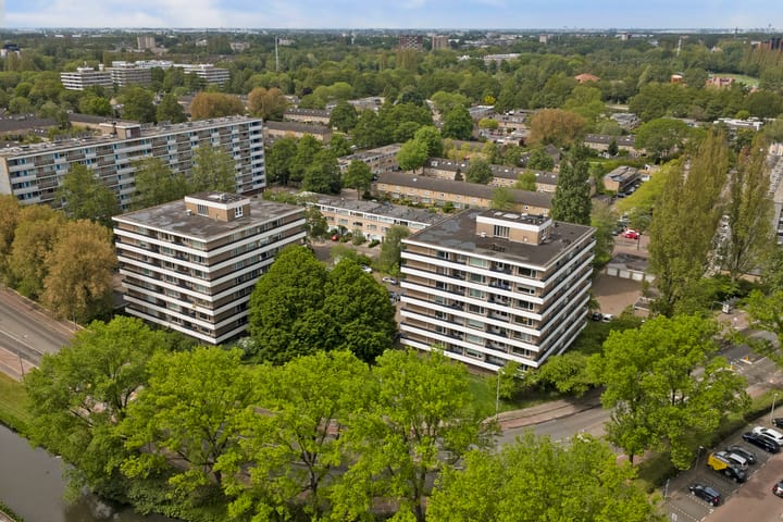 Donau 56 main image