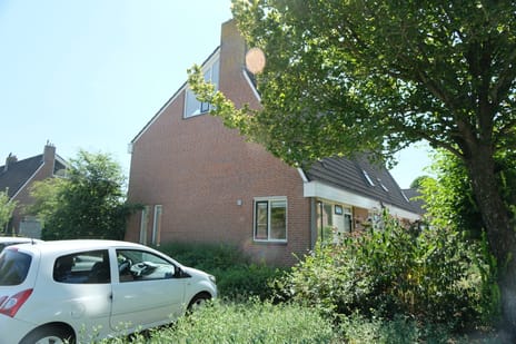 Wilgenroos 31