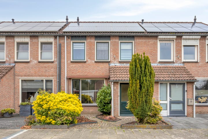 Aalbersestraat 38 main image