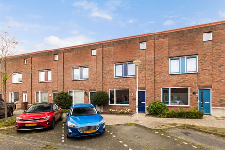 Kladdewortel 24 main image