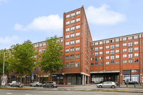 undefined main image