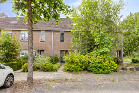 undefined main image
