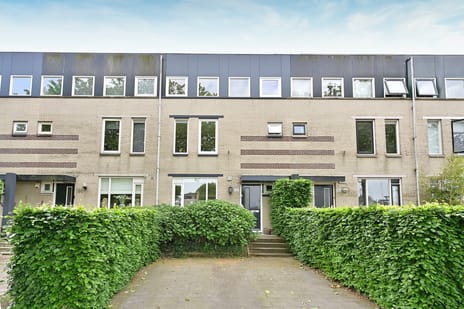 undefined main image