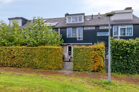 Ridderspoor 77