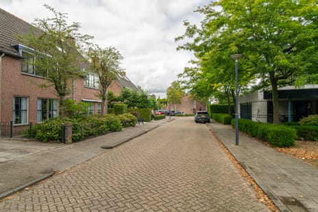 Afbeelding van Ekster 1 - Derde foto