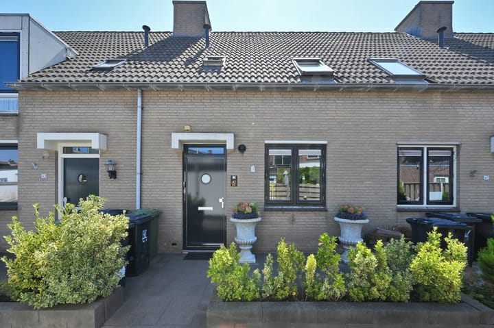 Amalia van Solmsstraat 45 main image