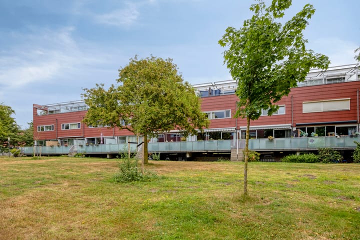 Meerval 102 main image