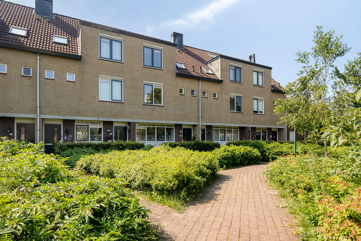 Goudvink 39 main image