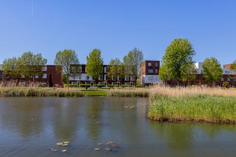 Afbeelding van Korfoepad 113 - Derde foto
