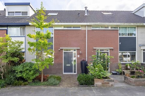 De Waterdief 81 main image