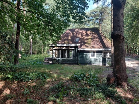 Langeloërduinen G 15 tertiary image