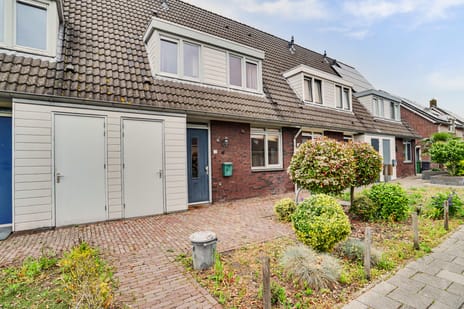 undefined main image