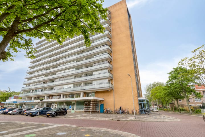 Van Adrichemstraat 319 main image