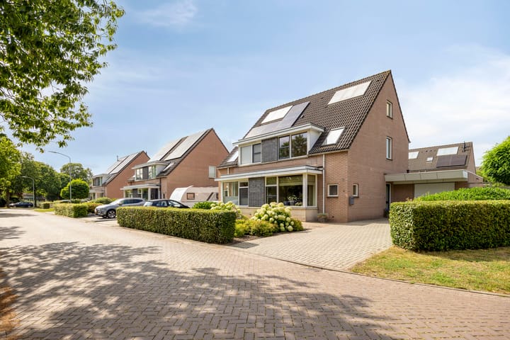 Vuistbijl 2 main image
