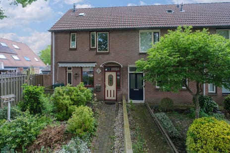 undefined main image