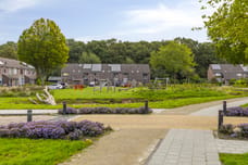 Afbeelding van Weidemaad 64 - Derde foto