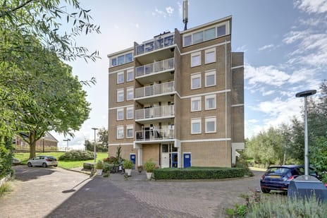 Singel 16 main image
