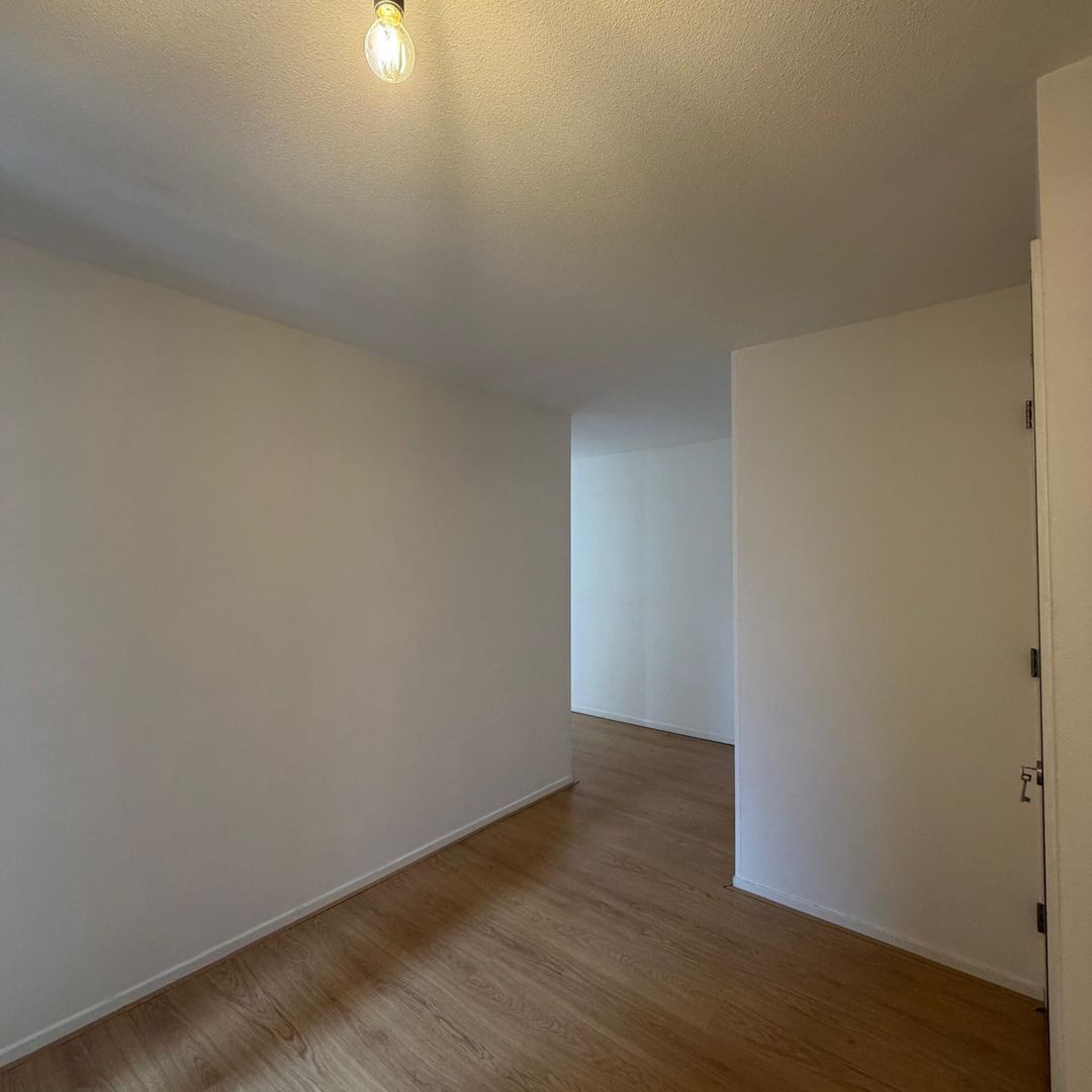 House Image 2