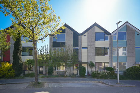 undefined main image