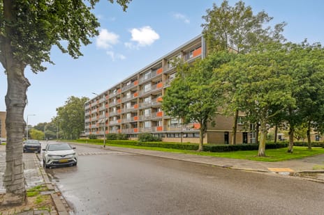 Lankforst 1120 main image