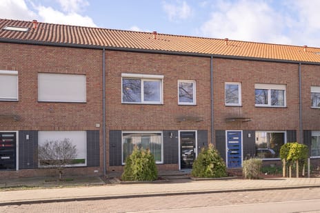 undefined main image