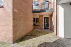 Afbeelding van Antilopespoor 149 - Tweede foto