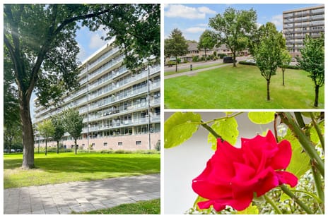 Goudvinklaan 28 secondary image