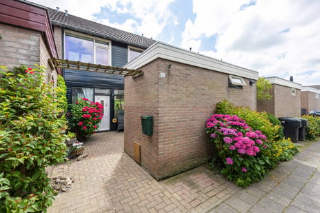 Violenstraat 10