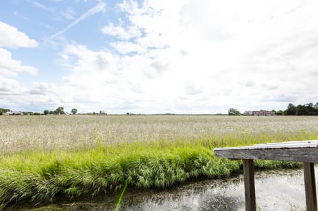 Westerbuorren 11 tertiary image