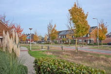 Afbeelding van Bereklauw 3 - Derde foto