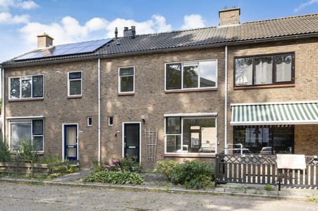 undefined main image