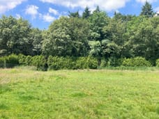 Afbeelding van Heers - Derde foto