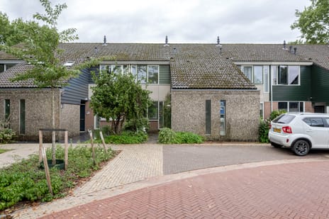 de Dam 42