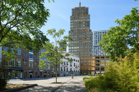 undefined main image