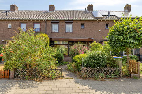 undefined main image