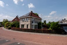 Afbeelding van Lupine 7 - Derde foto
