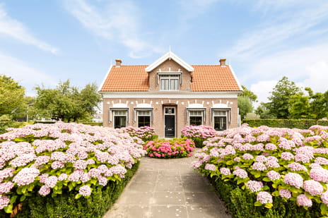 Hogezoom 12 secondary image