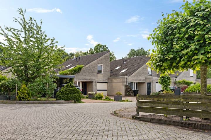 Oeverzwaluw 17 main image