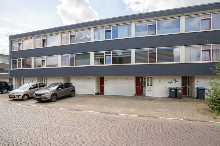 Ypelobrink 204 main image