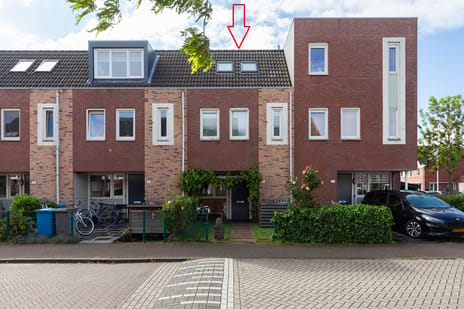 undefined main image