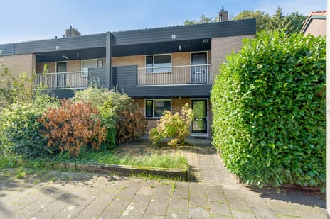 De Berken 40 main image