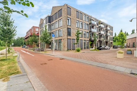Terschellingkade 250 secondary image